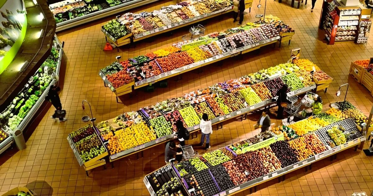Clean room-protocollen voor agrovoedselsector: ISO 14644 en HACCP als basis