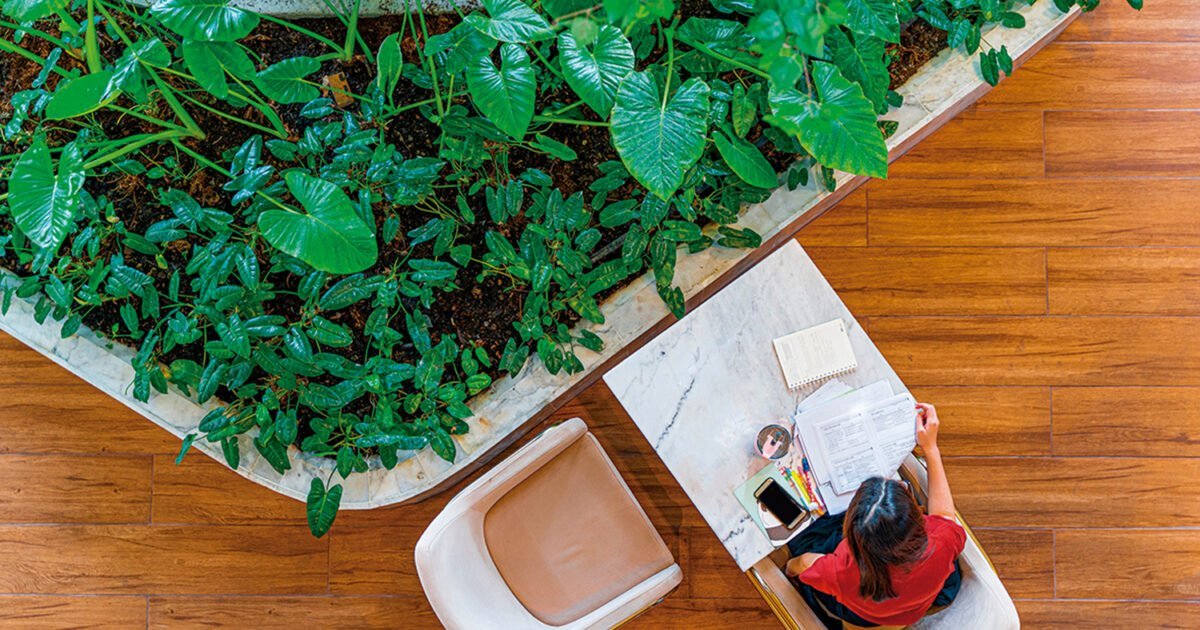 Workplace hospitality: als de facility manager strategisch gastheer wordt