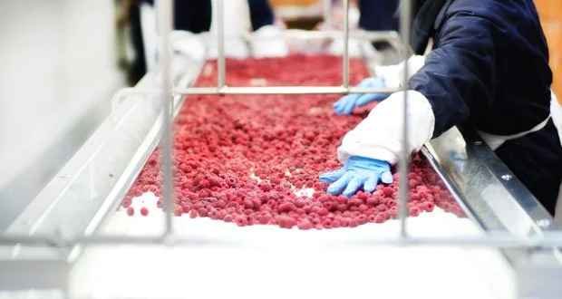 Onderhoudsuitval in FMCG kost miljoenen: vijf kernuitdagingen voor facility managers
