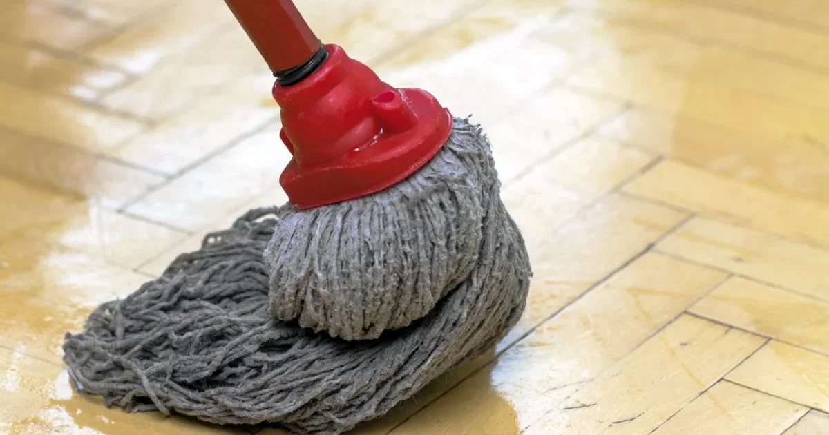 Professioneel moponderhoud: geavanceerde technieken tegen geur en bacteriën